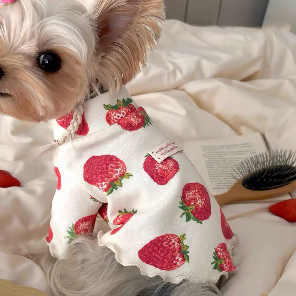 犬服 S わんこの普段着　いちごケーキ いちご 犬 服 レッド 犬服 S~XL 犬の服 ペットウェア おしゃれ