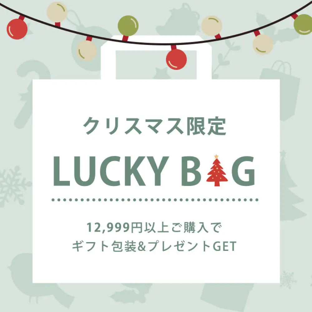 【LUCKYBAG】12,999円以上で無料贈呈中!早い者勝ち! 福袋1点(自動郵送)