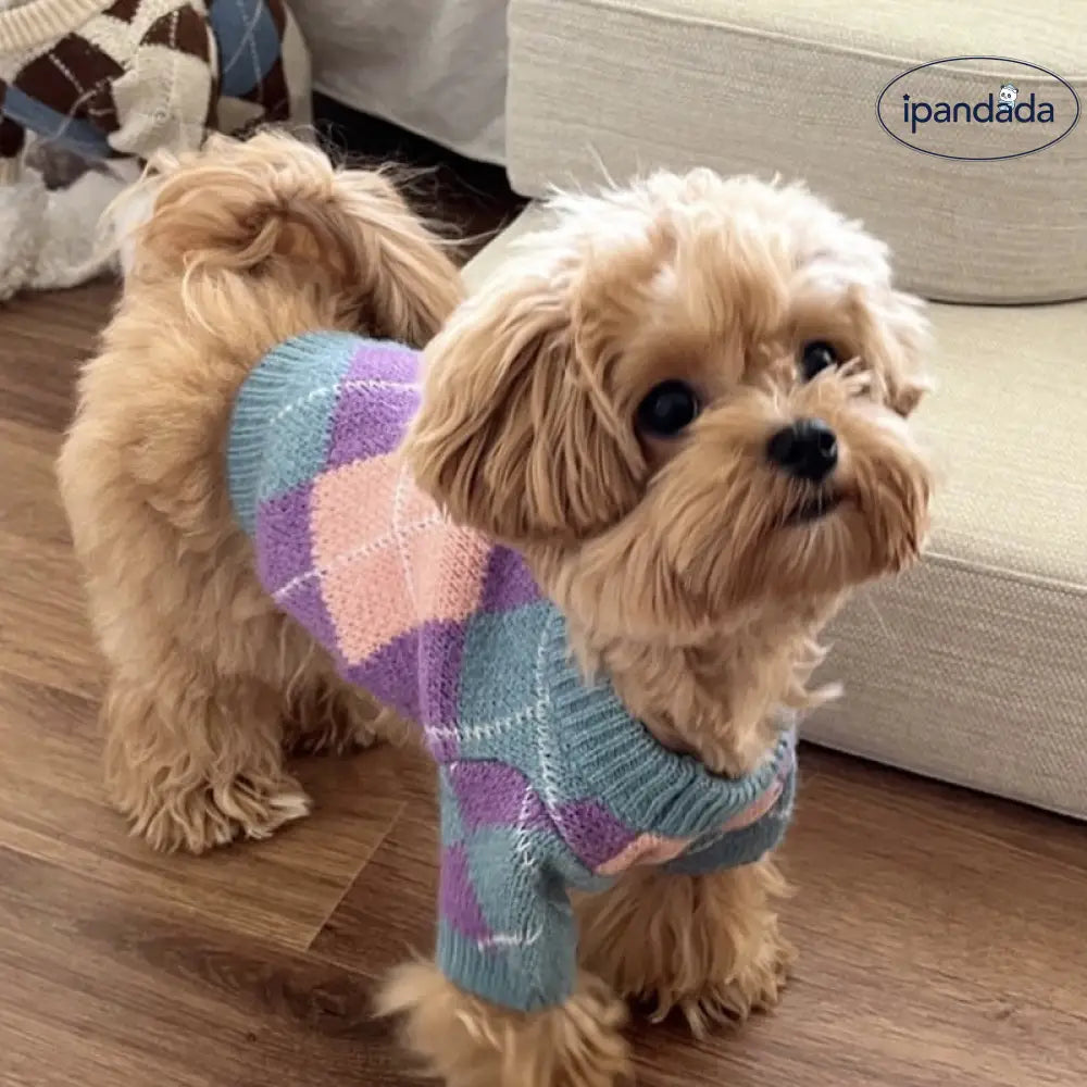 ペット ニット セーター テディ ビション フォックステリア ヨークシャー 小型犬 猫用 ドッグウェア 秋冬 ID2819