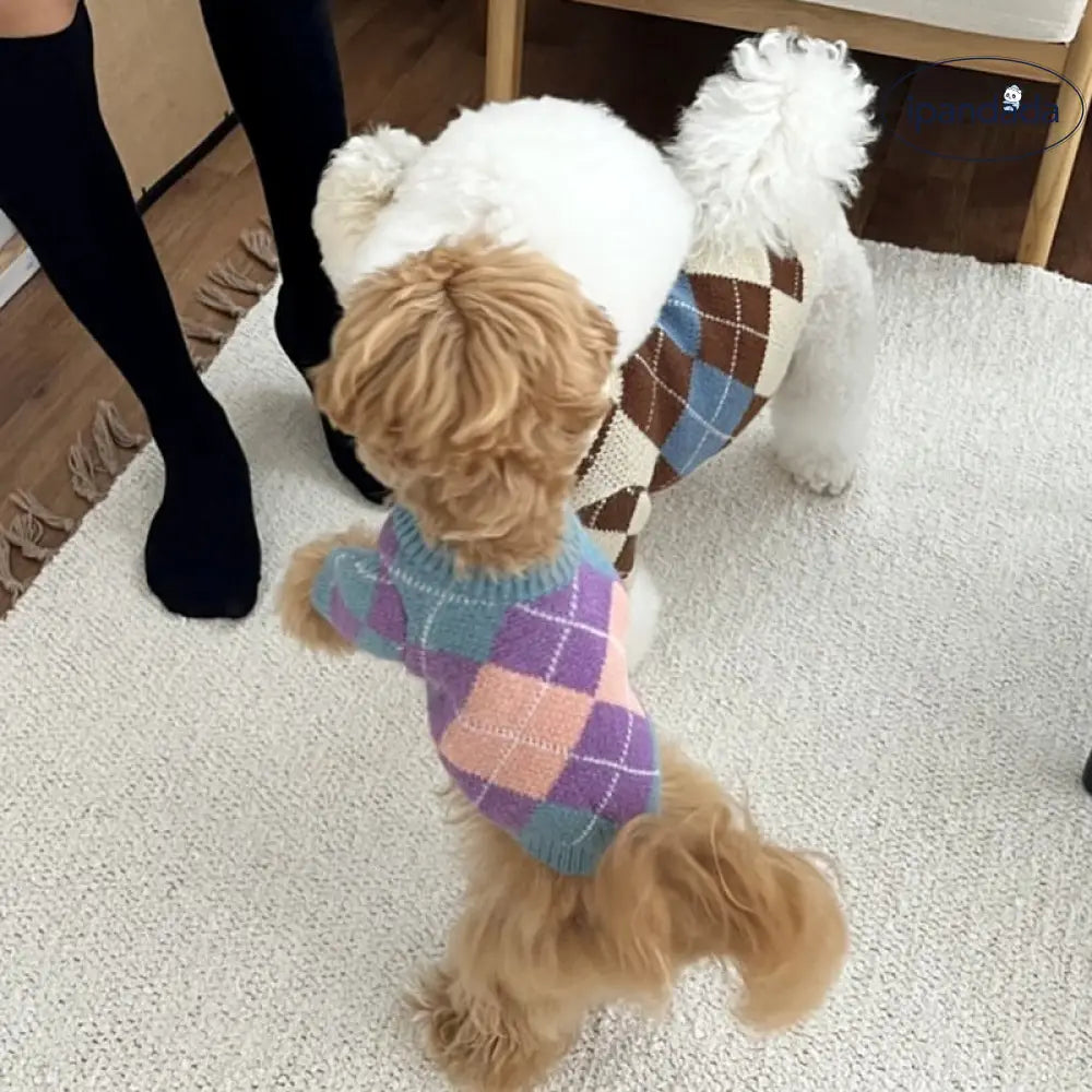 ペット ニット セーター テディ ビション フォックステリア ヨークシャー 小型犬 猫用 ドッグウェア 秋冬 ID2819