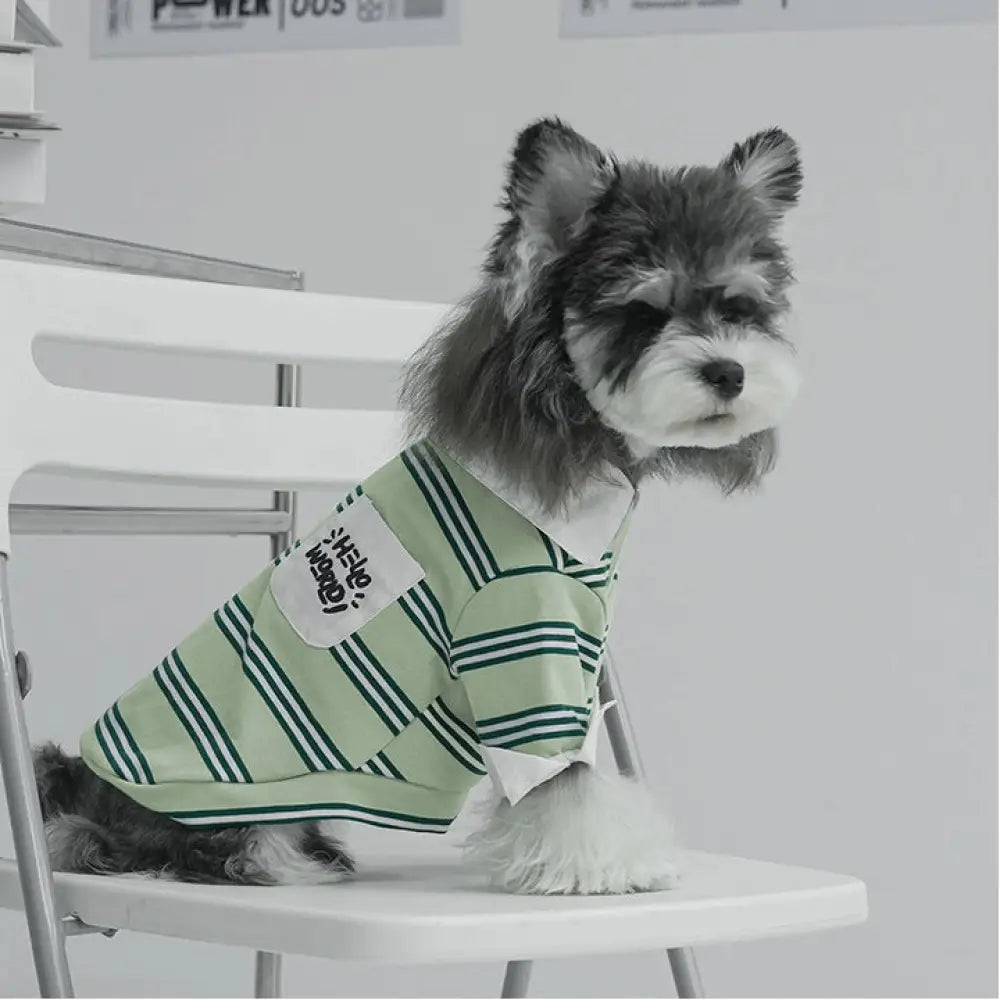 ペット 四季 ストライプ カラー付き ポロシャツ シュナウザー コーギー