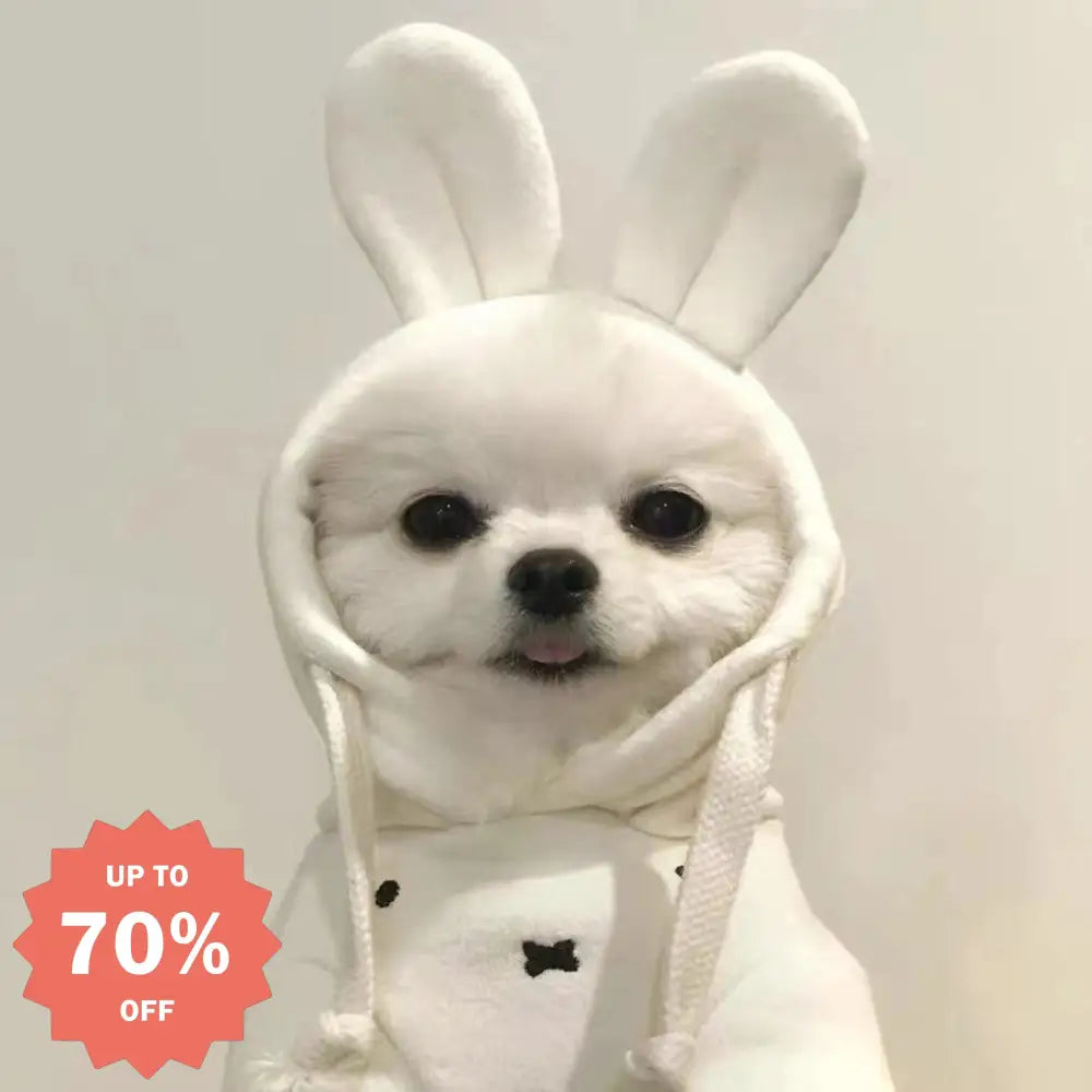 犬 服 ウサギ うさ耳 XS～XL 犬の服 犬服 着ぐるみ チワワ小型犬用