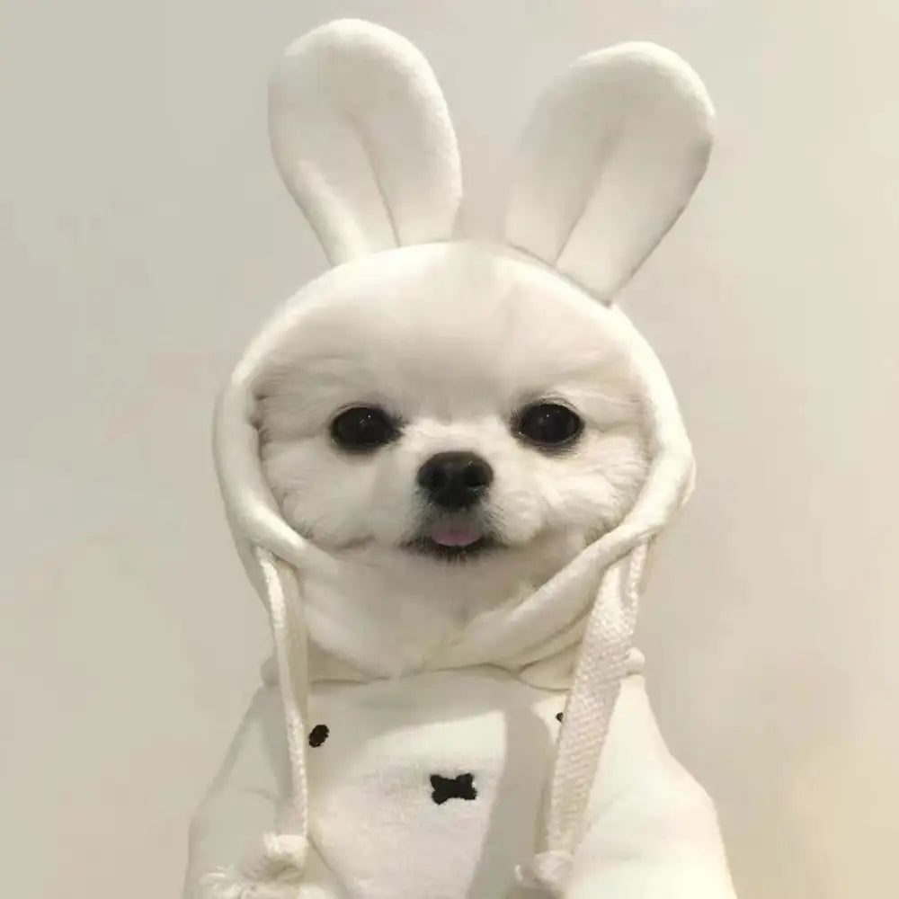 犬 服 ウサギ うさ耳 XS～XL 犬の服 犬服 着ぐるみ チワワ小型犬用