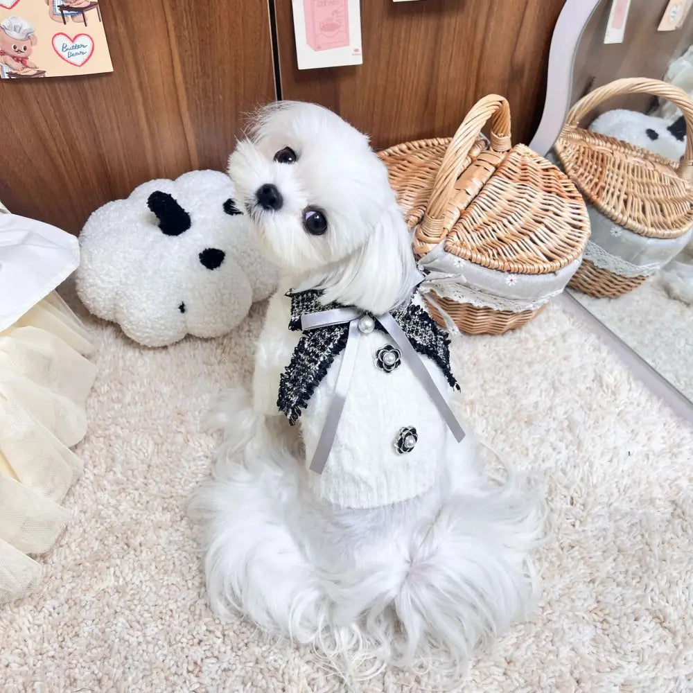 犬用 秋冬服 猫用 もこもこ 暖かい 毛布 フリース モコモコ タイディ犬