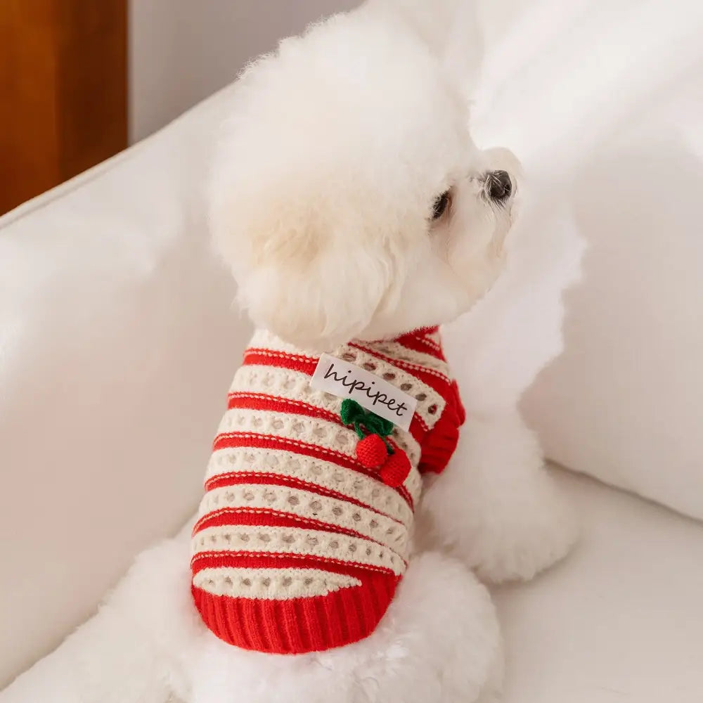 新作 秋冬用 犬服 レース編み 立体チェリー デザイン ペット用セーター
