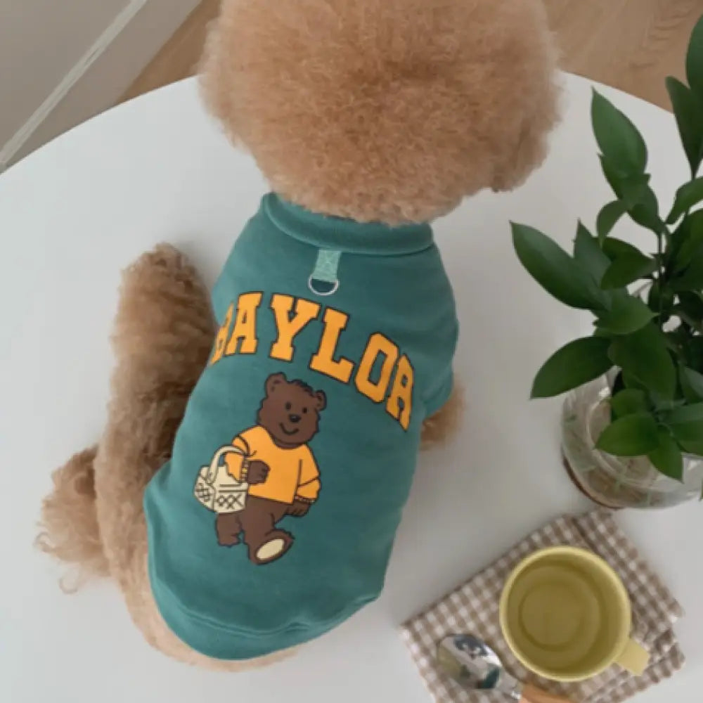 ID393【XS-6XL】犬服 ペット親子 中小型犬大型犬対応 ペット親子お揃い ペット用品 パーカー 長袖 犬服親子 ドッグウェア お出かけに ワンチャン服 ご主人様用 親子服 秋冬服 ペット服 犬服親子 パーカー 犬服グリーン