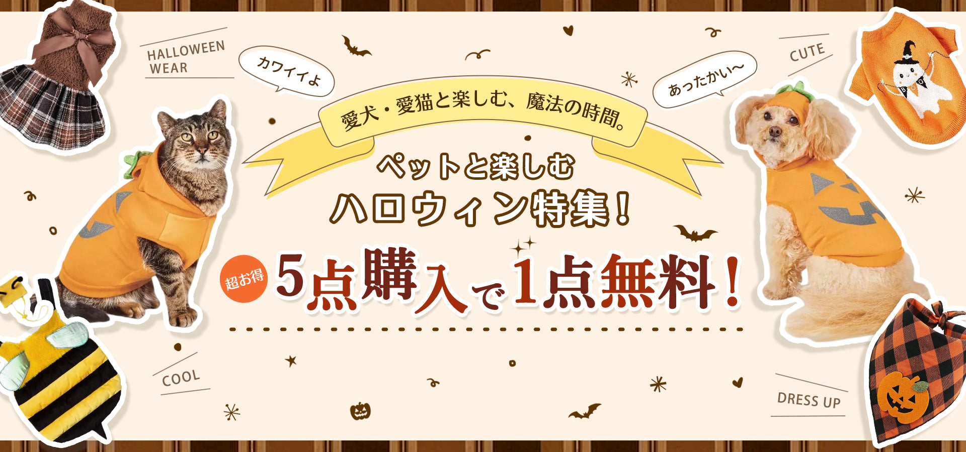 ウェア – ipandada