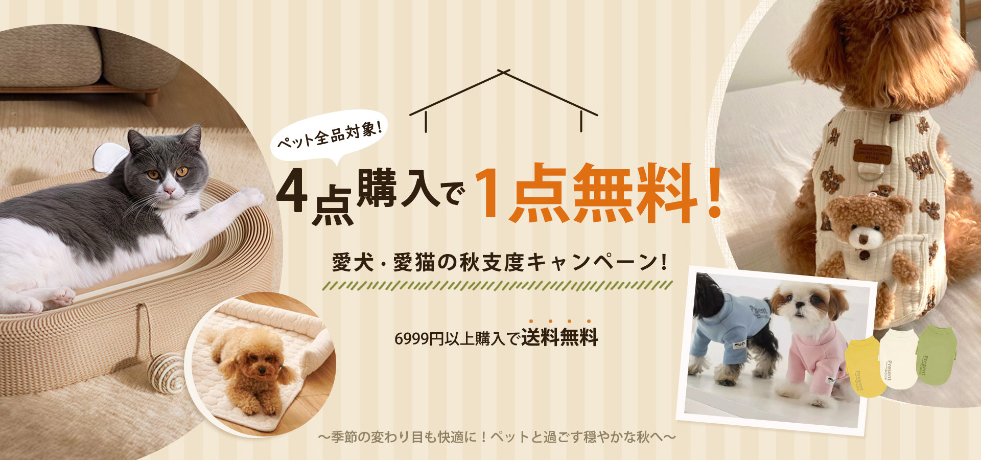 Amazon.co.jp: キャタピラーシェイプのかみ傷に強いおもちゃ