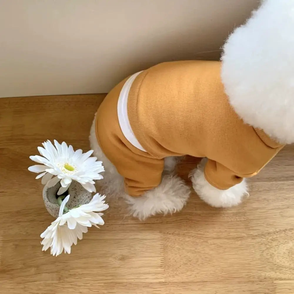 3色展開 犬服 ドッグウエア つなぎ カバーオール 裏起毛 暖かい シンプル 犬の服 ペット服 抜け毛防止 可愛い オシャレ ユニセックス インスタ映え お散歩 小型犬 中型犬 イエロー / XS ペット用品＞ウェア