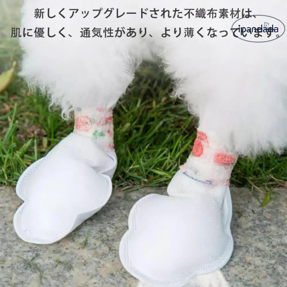 ID441 3色展開 犬 足 保護 テープ 靴下 使い捨て S M 履かせやすい 散歩 粘着性 脱げにくい 外出 汚れ防止 簡単 フットカバー ハート イチゴ 可愛い ペット用品