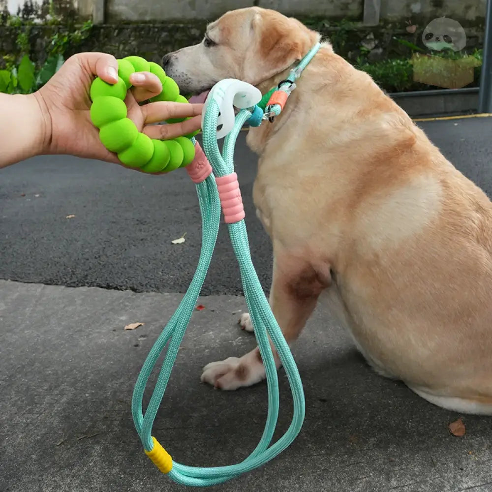 3WAYS ペット用 お出かけ 首輪 リード 犬用首輪 お散歩 ペット首輪 サイズ調整可能 安全対策 中型犬 大型犬 事故防止 散歩 グリーン / 7.5~47.5KG ペット用品＞ハーネス・リード