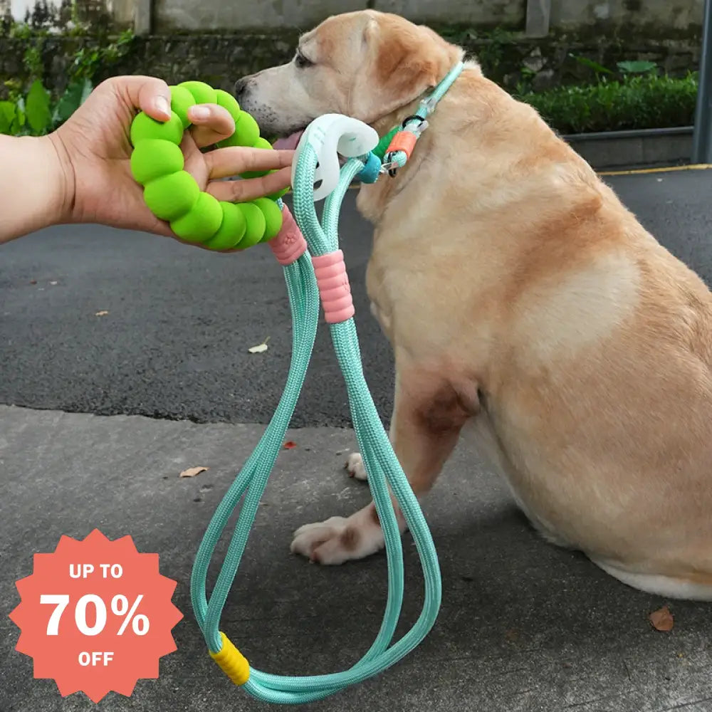 3WAYS ペット用 お出かけ 首輪 リード 犬用首輪 お散歩 ペット首輪 サイズ調整可能 安全対策 中型犬 大型犬 事故防止 散歩 グリーン / 7.5~47.5KG ペット用品＞ハーネス・リード