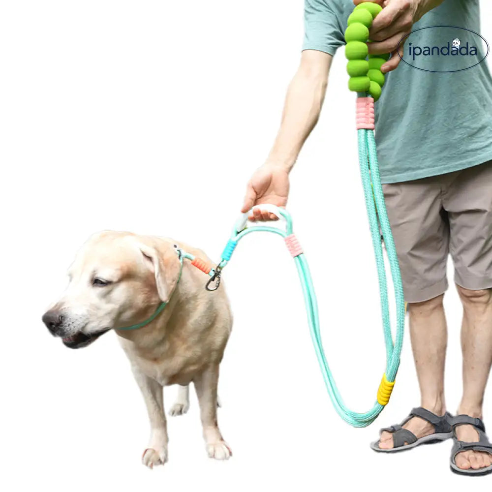 3WAYS ペット用 お出かけ 首輪 リード 犬用首輪 お散歩 ペット首輪 サイズ調整可能 安全対策 中型犬 大型犬 事故防止 散歩 ペット用品＞ハーネス・リード
