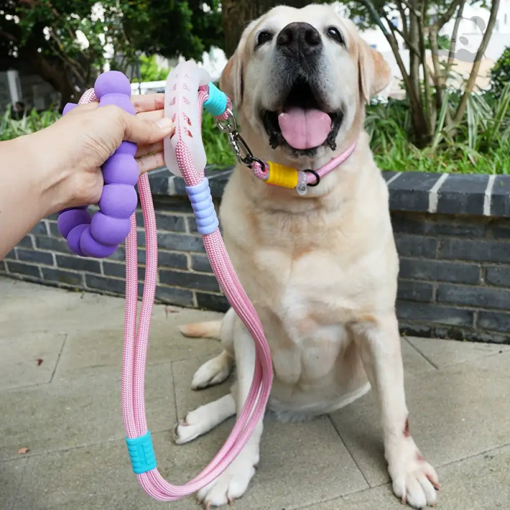 3WAYS ペット用 お出かけ 首輪 リード 犬用首輪 お散歩 ペット首輪 サイズ調整可能 安全対策 中型犬 大型犬 事故防止 散歩 ピンク / 7.5~47.5KG ペット用品＞ハーネス・リード