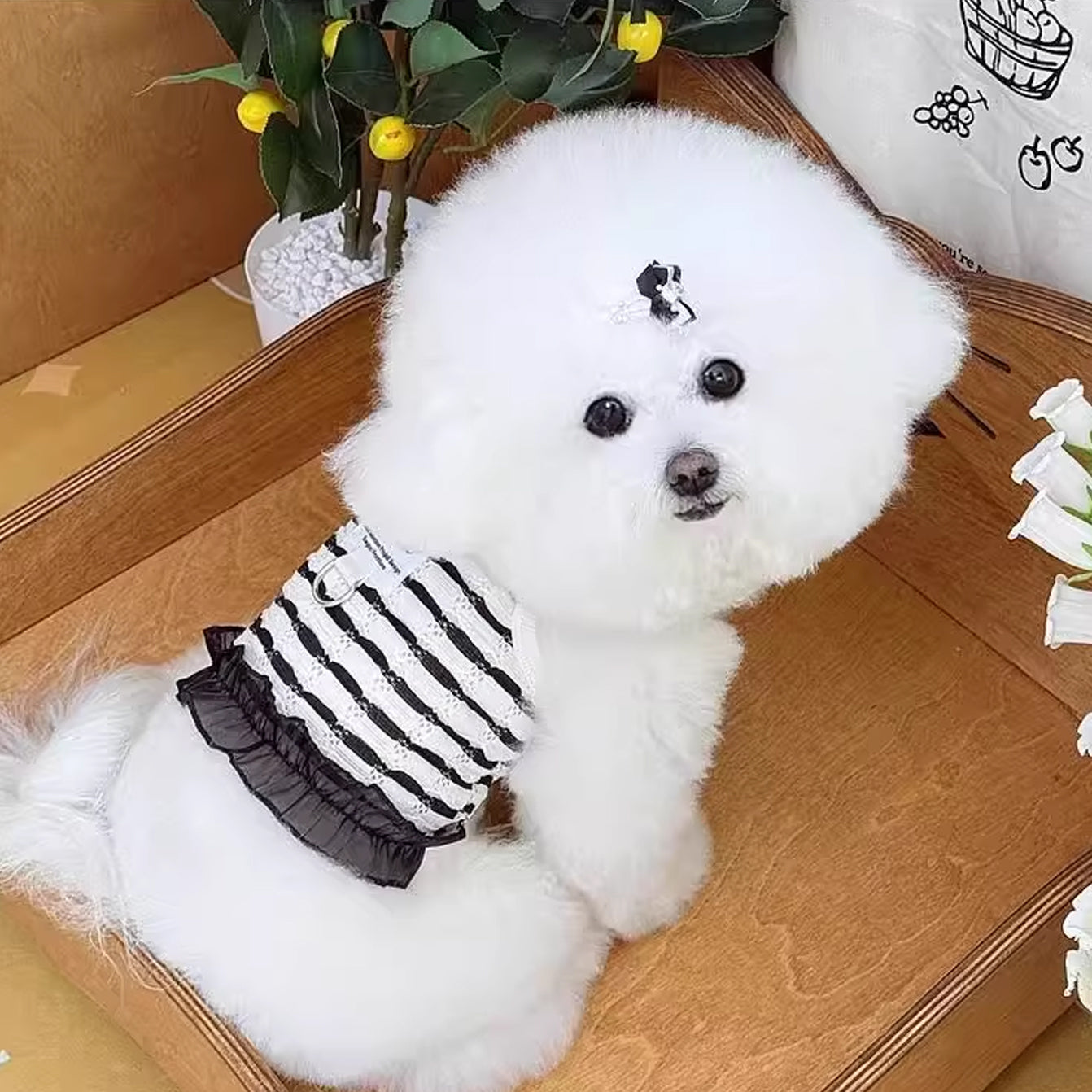 ID725 ペット キャミソールレース 拼接 透かし デザイン リード 対応 夏 薄手 犬 猫 服 テディ ヨークシャー ビション 小型犬 紫外線 対策 ワンピース