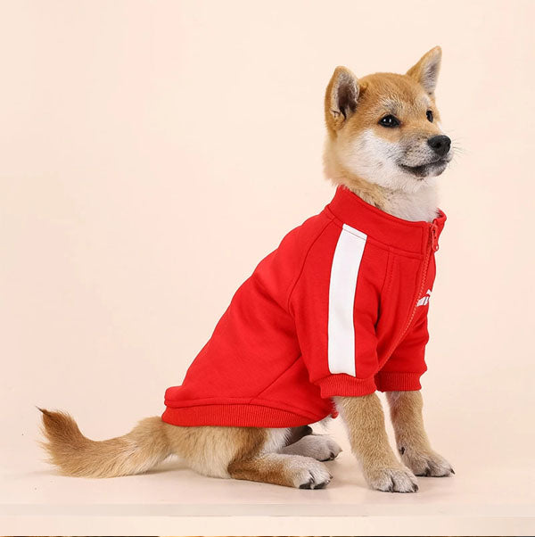 犬服 ドッグウェア 冬服 トレーナーあったか 裏起毛 ジャージ風ペット服 小型犬 中型犬アウター