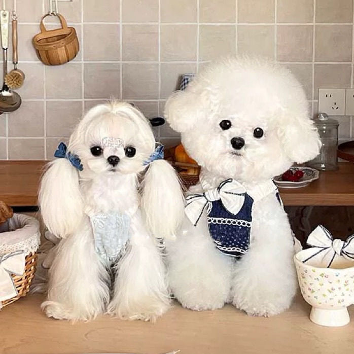 ID726 新作 ペット服 立体 リボン 刺繍 プリント 犬 猫 プリンセス 小型犬 ヨークシャー ビション 春夏 薄手 通気性 ベスト プリンセス スカート