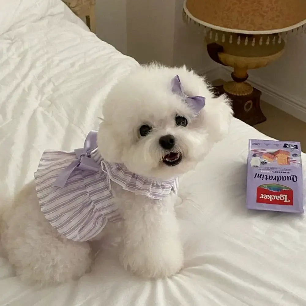 薄手 ペット用 プリンセスドレス テディベア ビション フィービー 小型犬 ヨークシャーテリア 猫用 犬の服 抜け毛防止 ID2282 パープル / XS