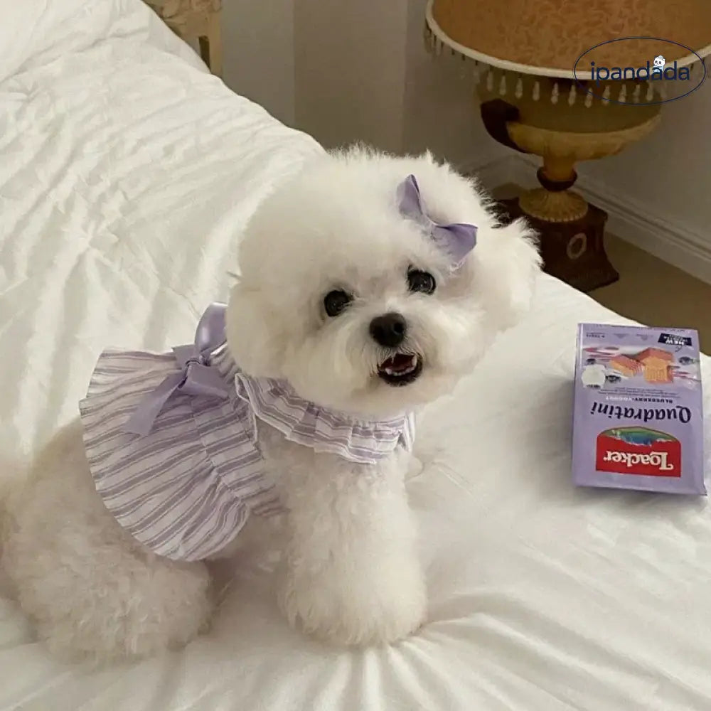 薄手 ペット用 プリンセスドレス テディベア ビション フィービー 小型犬 ヨークシャーテリア 猫用 犬の服 抜け毛防止 ID2282