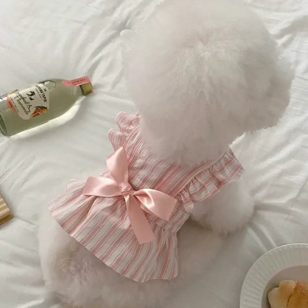 薄手 ペット用 プリンセスドレス テディベア ビション フィービー 小型犬 ヨークシャーテリア 猫用 犬の服 抜け毛防止 ID2282