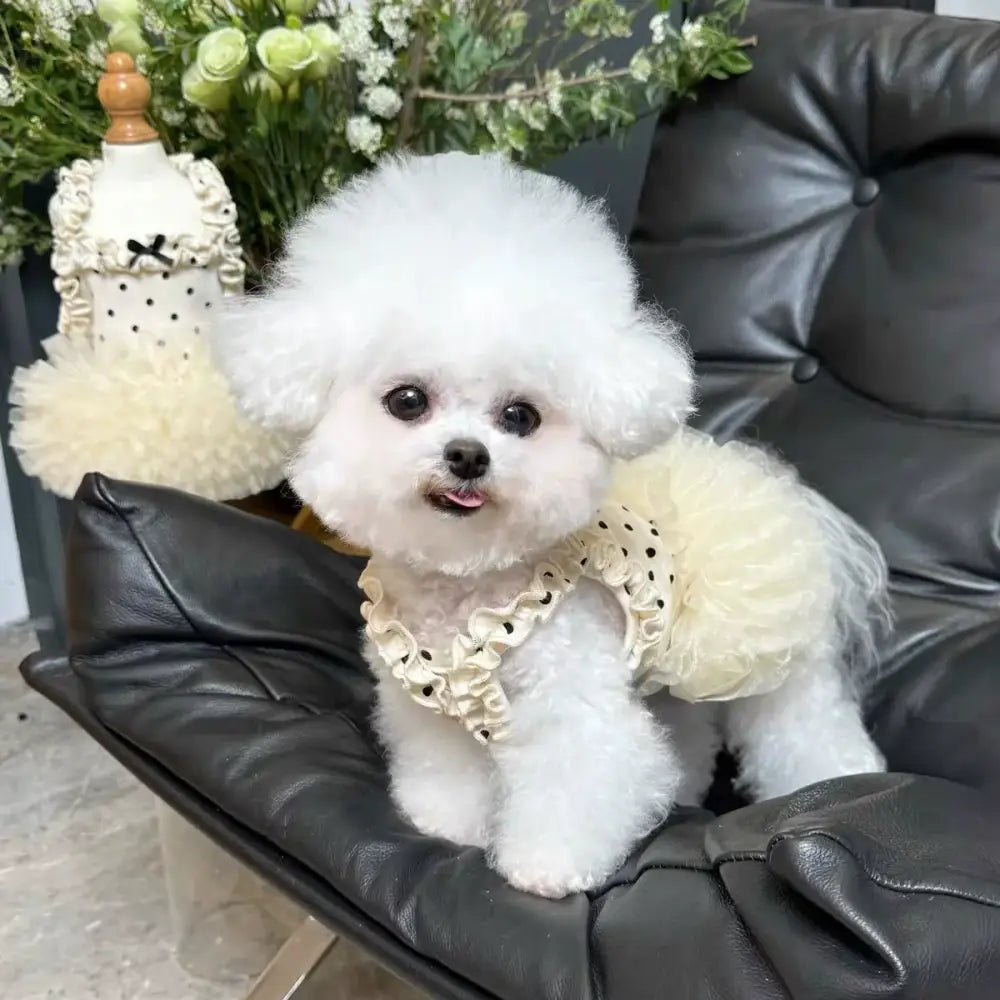 薄手 通気性 ペット服 フラワー プリント フリル スリーブ プリンセス ドレス 子犬 猫 夏 紫外線対策 涼しい 軽量 かわいい おしゃれ 小型犬用 散歩 室内用 メッシュ 快適 キュート デザイン ペットウェア 春夏 ガーゼ素材 ペットドレス 日よけ ID2136