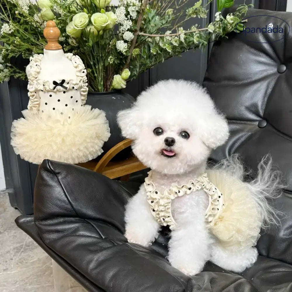 薄手 通気性 ペット服 フラワー プリント フリル スリーブ プリンセス ドレス 子犬 猫 夏 紫外線対策 涼しい 軽量 かわいい おしゃれ 小型犬用 散歩 室内用 メッシュ 快適 キュート デザイン ペットウェア 春夏 ガーゼ素材 ペットドレス 日よけ ID2136