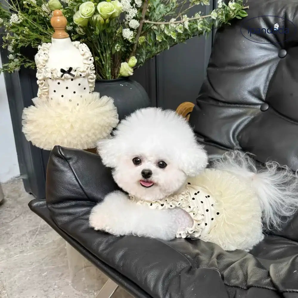 薄手 通気性 ペット服 フラワー プリント フリル スリーブ プリンセス ドレス 子犬 猫 夏 紫外線対策 涼しい 軽量 かわいい おしゃれ 小型犬用 散歩 室内用 メッシュ 快適 キュート デザイン ペットウェア 春夏 ガーゼ素材 ペットドレス 日よけ ID2136