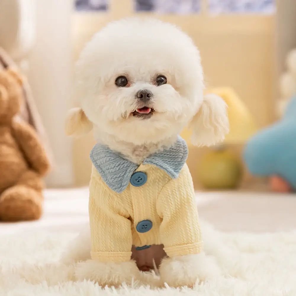 ベージュ 可愛い 小犬 パッチワーク ベースレイヤー セーター 襟付き 小型犬 猫 ペット 秋冬 厚手 保温 服 ID2514