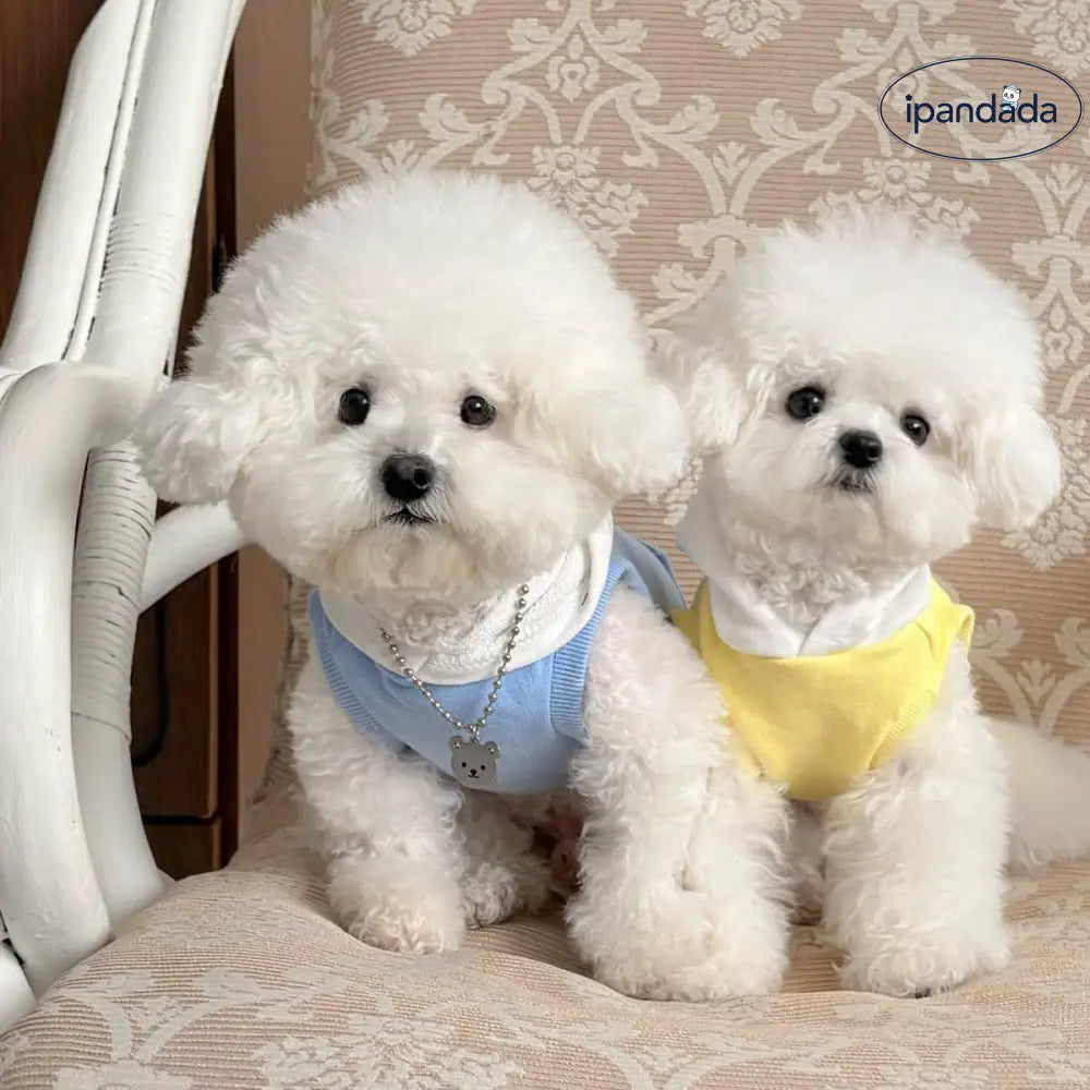 春秋 新作 犬 服 猫服 犬用 ペット用品 犬服 猫服 テディ ビション ヨークシャー ポメラニアン 小型犬 フード付き ポケット ペット スウェット ID4310 ペット用品＞ウェア