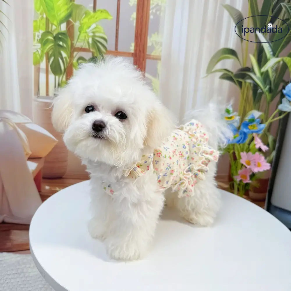 ID1341 春夏用 ペット服 犬猫兼用 フローラルプリント プリンセスドレス ビション用 薄手軽量 通気性抜群 UVカット 洗える おしゃれ かわいい