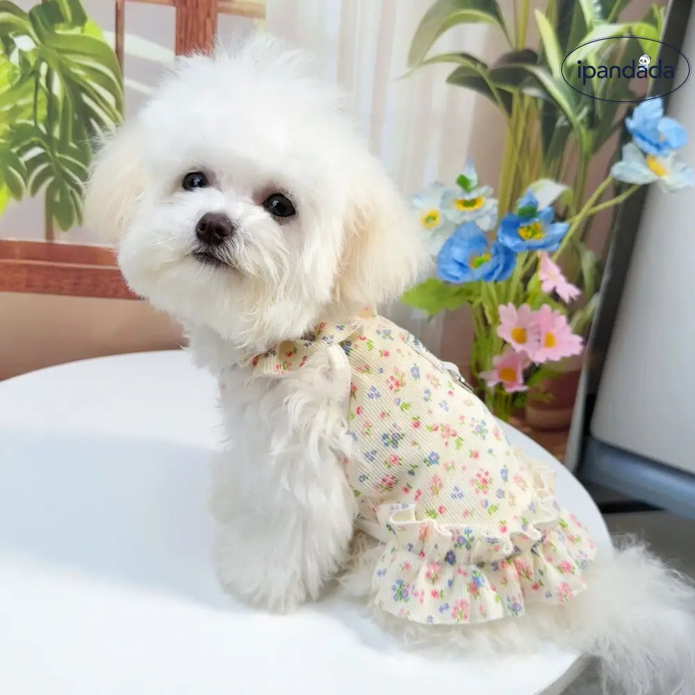ID1341 春夏用 ペット服 犬猫兼用 フローラルプリント プリンセスドレス ビション用 薄手軽量 通気性抜群 UVカット 洗える おしゃれ かわいい
