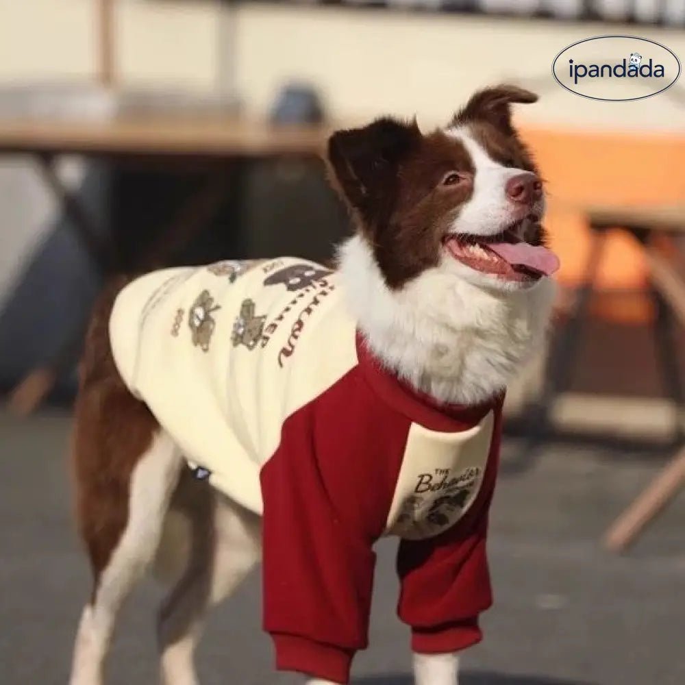 大型犬 秋冬 厚手 ゴールデンレトリバー 赤い服 ボーダーコリー