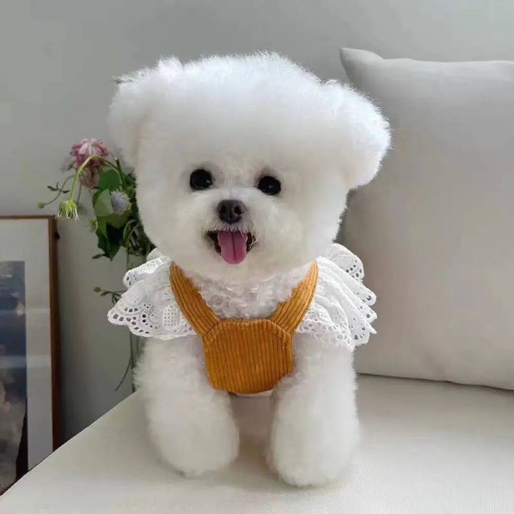 ドッグウェア 犬用ウェア 犬の服 キャミソール ワンピース ノースリーブ 洋服 リボン レース ガーリー 春夏 お散歩 お出かけ イエロー / XS（対応体重0.65-1.2KG） ペット用品＞ウェア