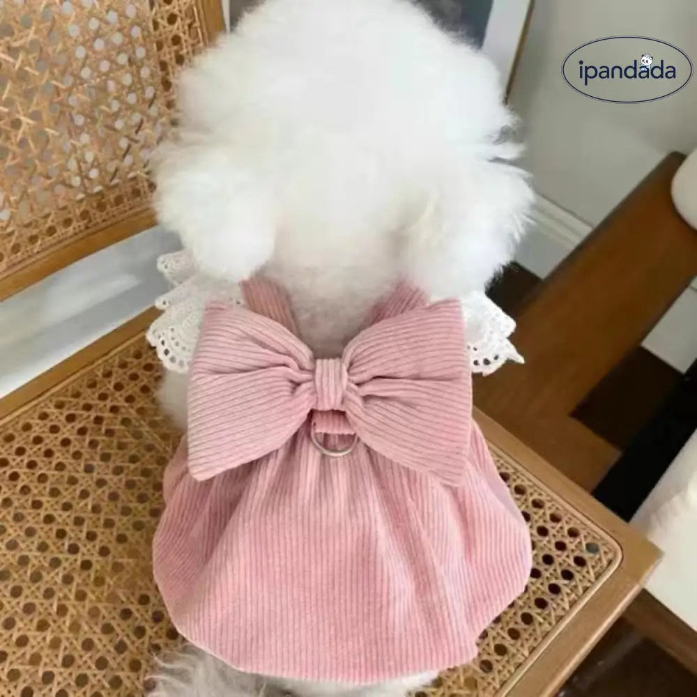 ドッグウェア 犬用ウェア 犬の服 キャミソール ワンピース ノースリーブ 洋服 リボン レース ガーリー 春夏 お散歩 お出かけ ペット用品＞ウェア