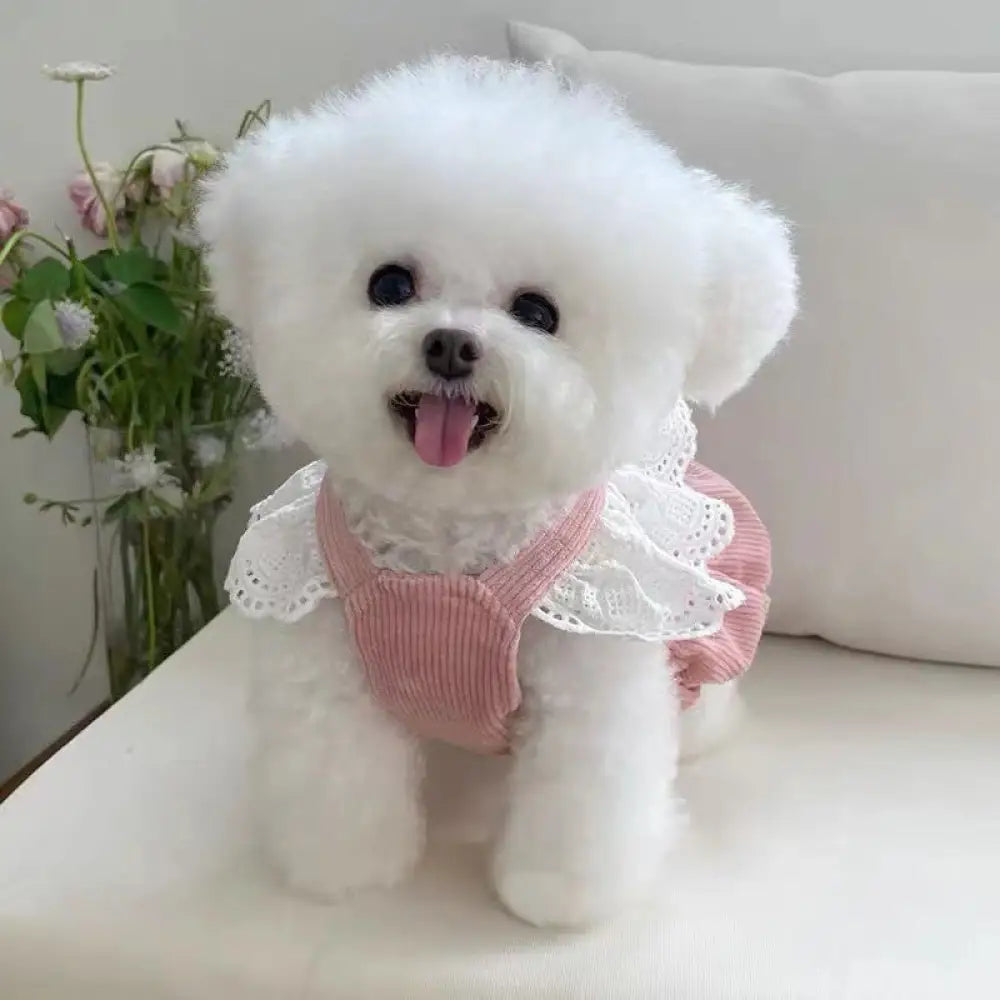 ドッグウェア 犬用ウェア 犬の服 キャミソール ワンピース ノースリーブ 洋服 リボン レース ガーリー 春夏 お散歩 お出かけ ピンク / XS（対応体重0.65-1.2KG） ペット用品＞ウェア