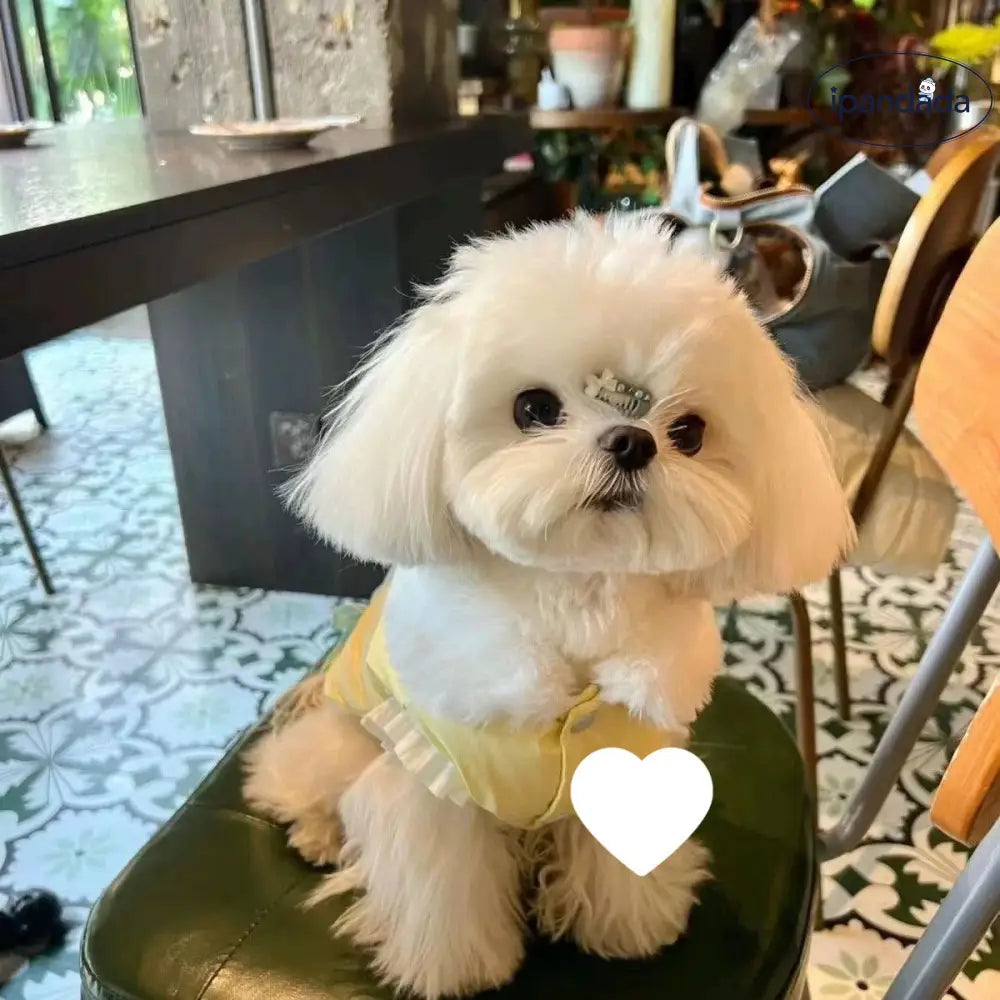 冬用 保温 ドッグ 蝶結び コットンジャケット ペット用 秋冬 保温 猫用 ベスト プリンセス タイディ 小型犬用 ID3471