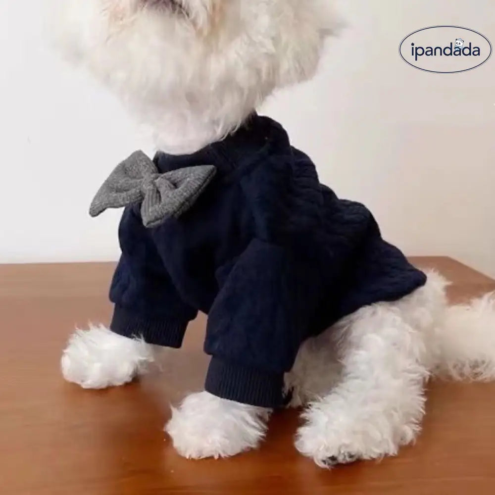 防毛 ペット 犬猫 2足 春秋 薄手 可愛い 子猫 イギリス短毛猫 ブルーキャット 猫服 ID2430