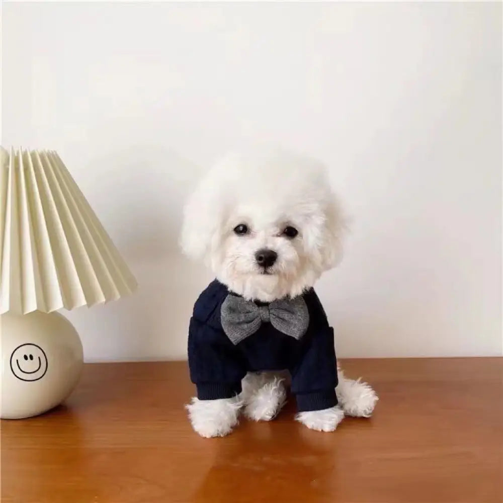 防毛 ペット 犬猫 2足 春秋 薄手 可愛い 子猫 イギリス短毛猫 ブルーキャット 猫服 ID2430
