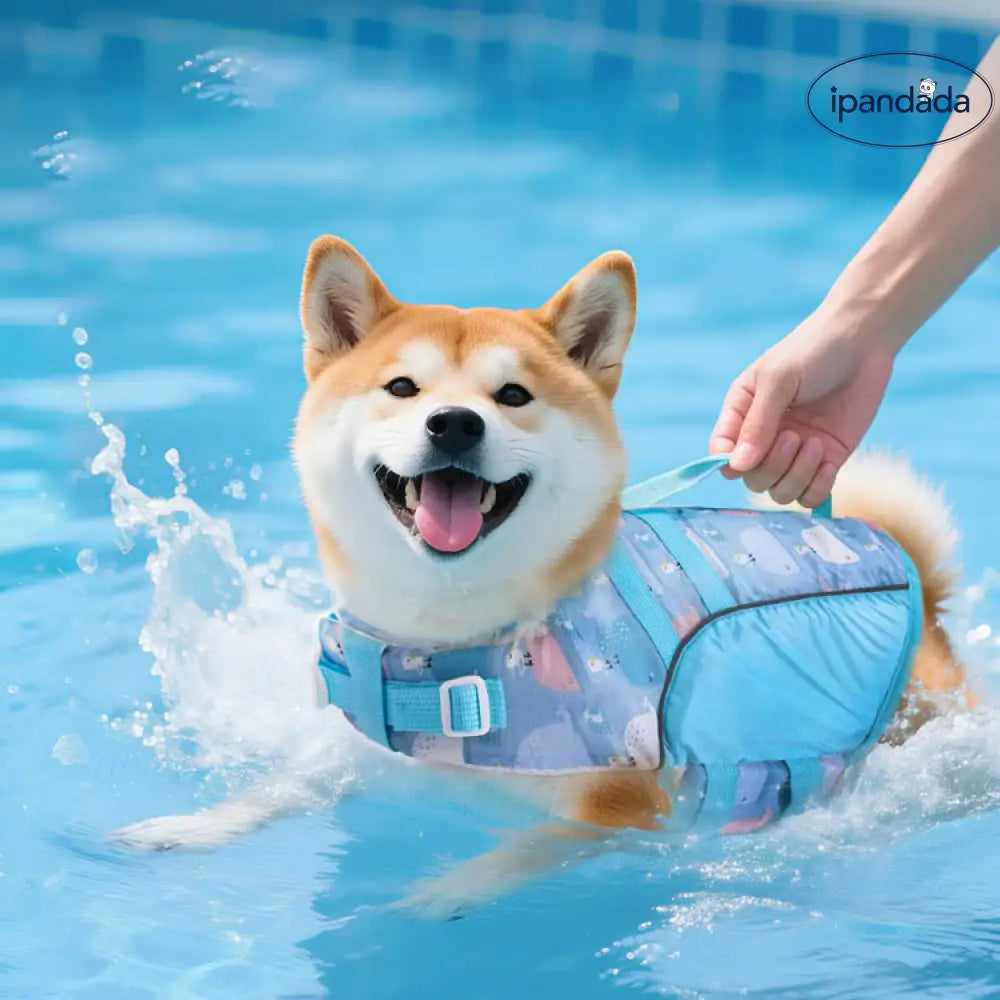 ID1181 犬用 ライフジャケット 夏物 柴犬 トイプードル 中小型犬兼用 水遊び 浮力補助 SG基準 通気メッシュ 子犬対応 着脱簡単 2色展開 イエロー ネイビー ペット用品＞おもちゃ