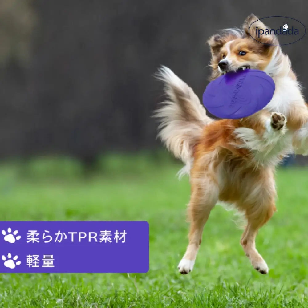 フライングディスク 犬 犬用 15cm 18cm ディスク おもちゃ 柔らか 運動 軽量 散歩 運動不足解消 ストレス発散 しつけ アウトドア ペット 投げる玩具 トレーニング ペット玩具 ペット用品 噛むおもちゃ ペット用品＞おもちゃ