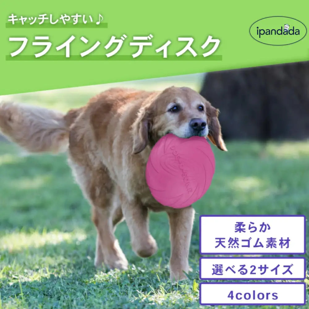 フライングディスク 犬 犬用 15cm 18cm ディスク おもちゃ 柔らか 運動 軽量 散歩 運動不足解消 ストレス発散 しつけ アウトドア ペット 投げる玩具 トレーニング ペット玩具 ペット用品 噛むおもちゃ ペット用品＞おもちゃ