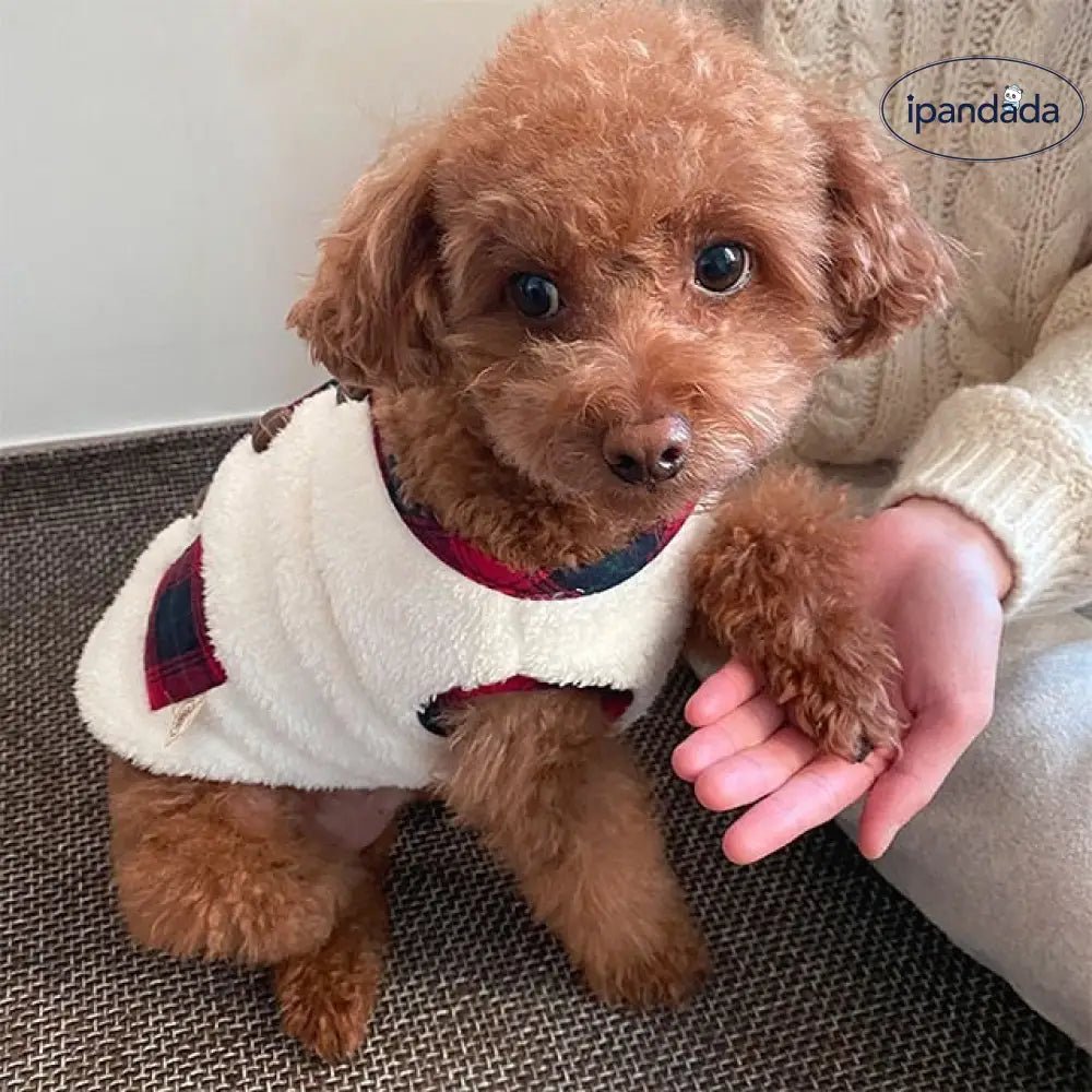 ゴールデン・レトリーバー 中大型犬 お祝い 秋冬 2足 ベスト 犬服 猫用 ペット衣服 ペット用品 ID2505