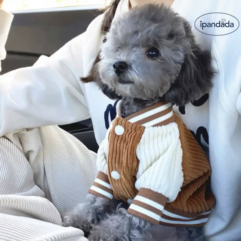 韓国風 犬用 野球ジャケット ペットジャケット テディ用 服 ビション フリーゼ ポメラニアン 小型犬 キャット用 秋冬用 保温ジャケット ID2081