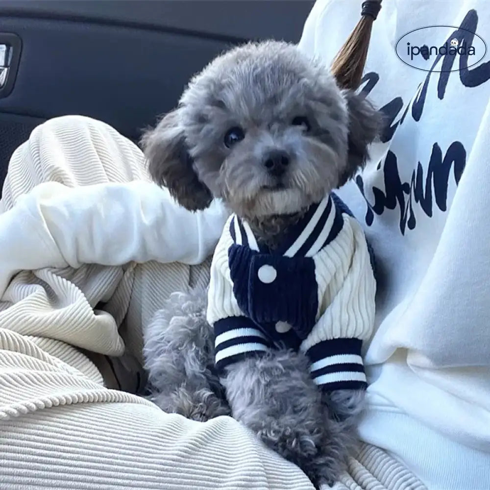 韓国風 犬用 野球ジャケット ペットジャケット テディ用 服 ビション フリーゼ ポメラニアン 小型犬 キャット用 秋冬用 保温ジャケット ID2081