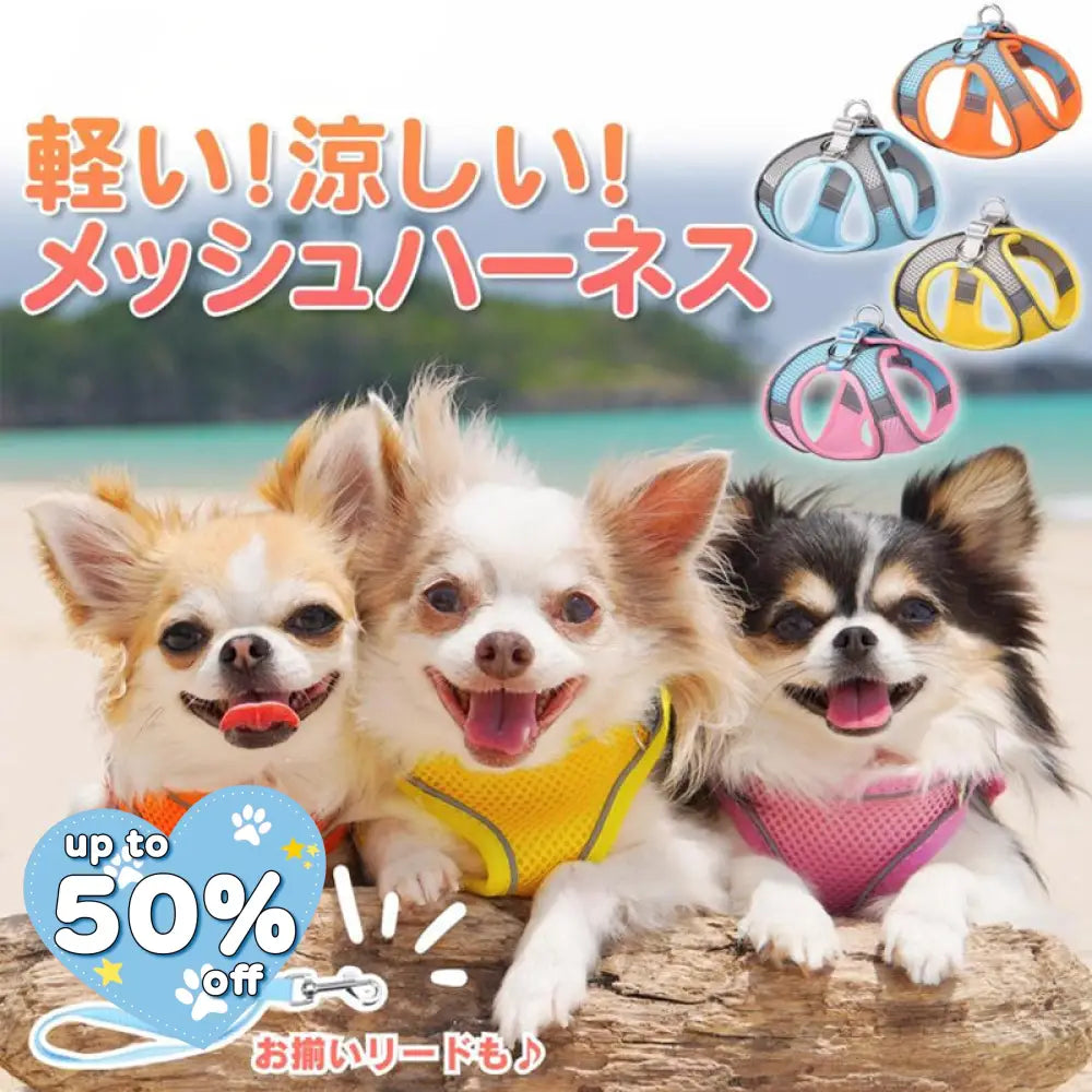 ID829 ハーネスセット 犬 猫 小型犬 中型犬 メッシュ 散歩 光反射素材 光る かわいい おしゃれ オレンジ 調整 通気性 ブルー フィット キャット お洒落 はーねす 子犬 子ネコ 成犬用 こねこ 脱げない イエロー