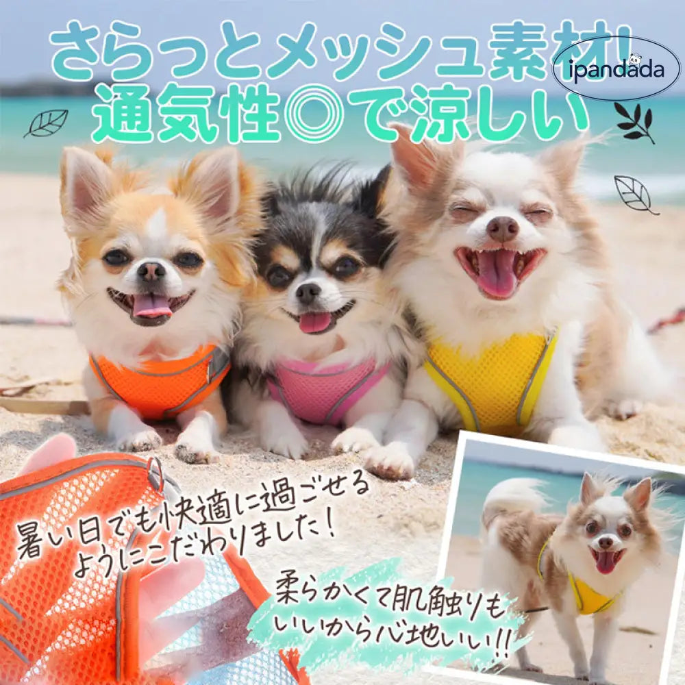 ID829 ハーネスセット 犬 猫 小型犬 中型犬 メッシュ 散歩 光反射素材 光る かわいい おしゃれ オレンジ 調整 通気性 ブルー フィット キャット お洒落 はーねす 子犬 子ネコ 成犬用 こねこ 脱げない イエロー