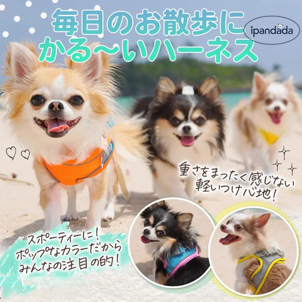 ID829 ハーネスセット 犬 猫 小型犬 中型犬 メッシュ 散歩 光反射素材 光る かわいい おしゃれ オレンジ 調整 通気性 ブルー フィット キャット お洒落 はーねす 子犬 子ネコ 成犬用 こねこ 脱げない イエロー