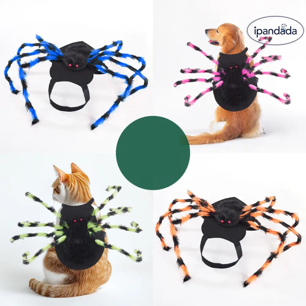 ハロウィン ペット コスチューム 面白い クモ バックパック 創造的 ネコ 犬 大小犬 パーティー 装飾 ペットウェア ID2748