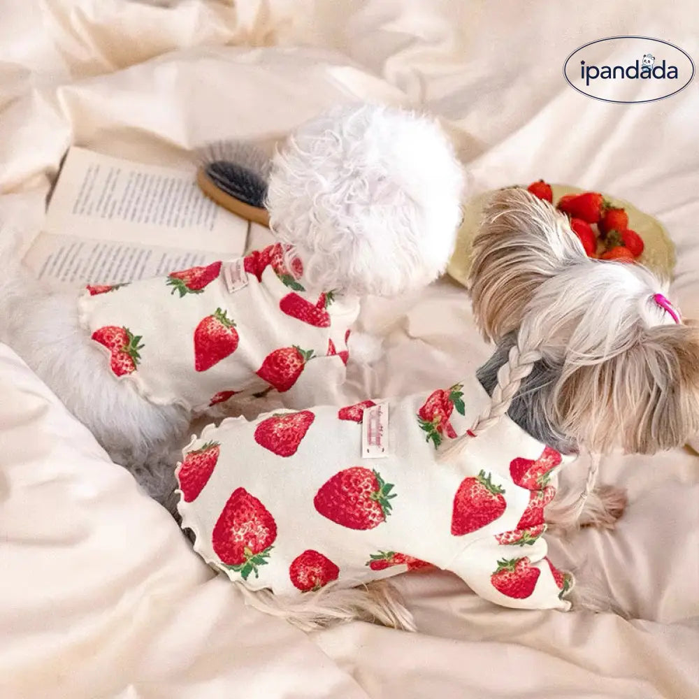 ID557 いちご 犬 服 レッド 犬服 S~XL 犬の服 ペットウェア おしゃれ かわいい 小型犬 中型犬 洋服 汚れ防止 ロングシーズン ペット用品＞ウェア