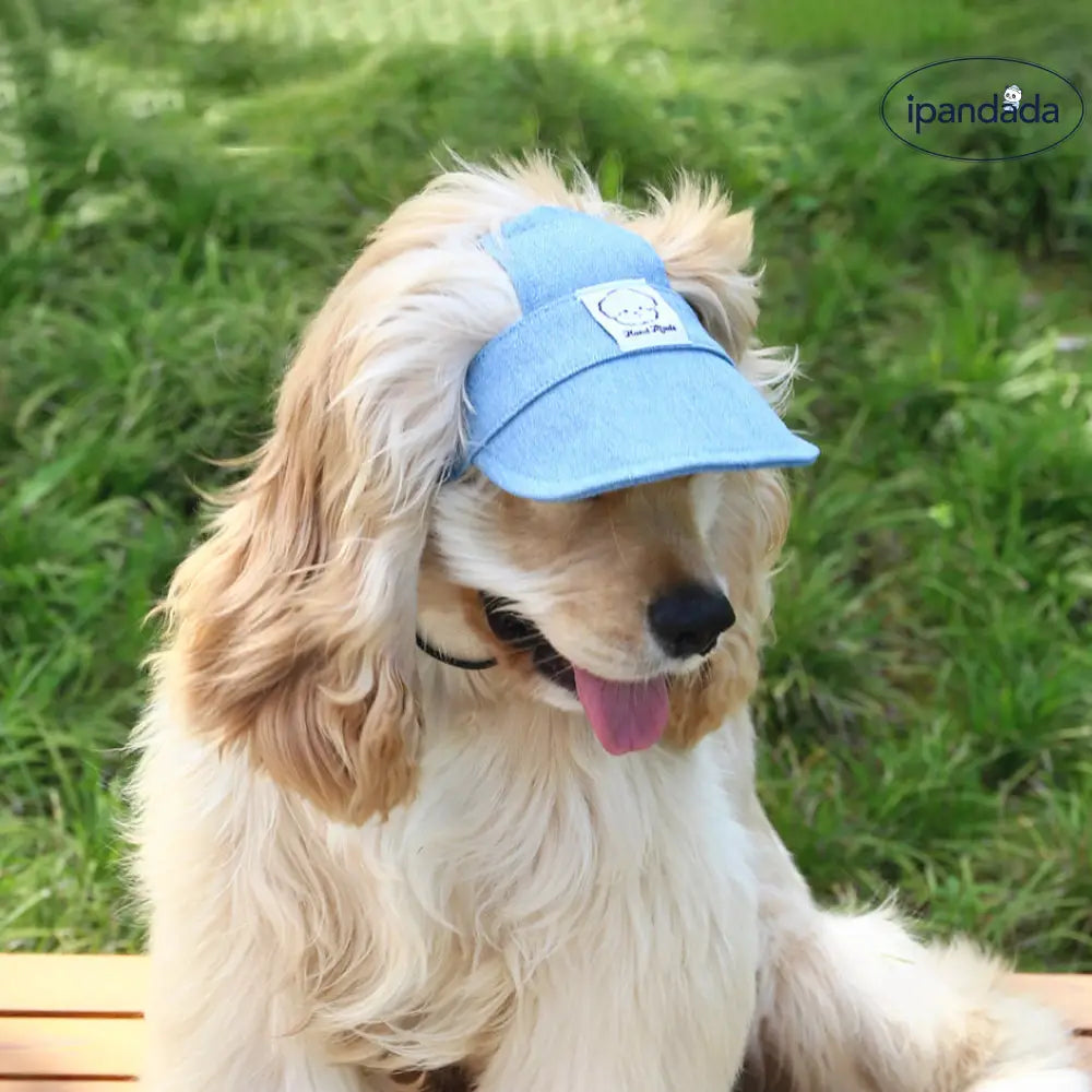 ID1348 デニムサンバイザー 刺繍ワッペン付き 柴犬専用 耳抜き設計 サイズ調節可能 UV99%遮断 通気メッシュ裏地 夏用 おしゃれ インスタ映え